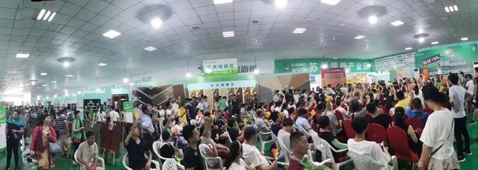 兔寶寶環保行7月29日蘇州站 綠色裝飾，感恩回饋