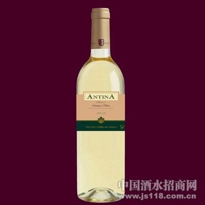安蒂娜干白 山東環(huán)日進(jìn)出口貿(mào)易的卓越之選與中國酒水招商新機(jī)遇